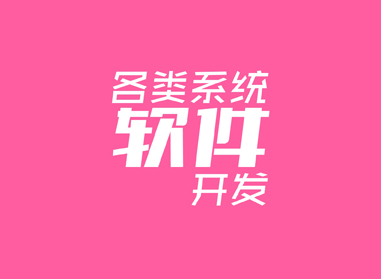 進(jìn)入了解各類(lèi)系統(tǒng)、軟件開(kāi)發(fā)